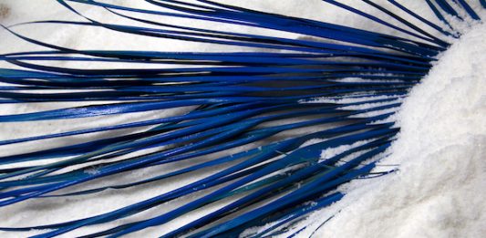 OSANNA (!), Alessio Barchitta – spazioSERRA