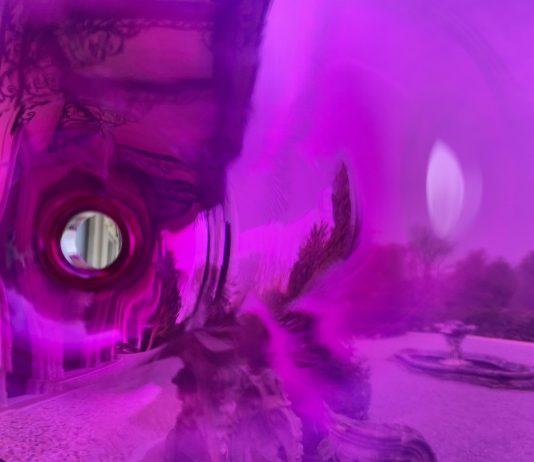 ‘Riverbero’: Enrica Borghi a Villa Borromeo d’Adda. Intervista all’artista