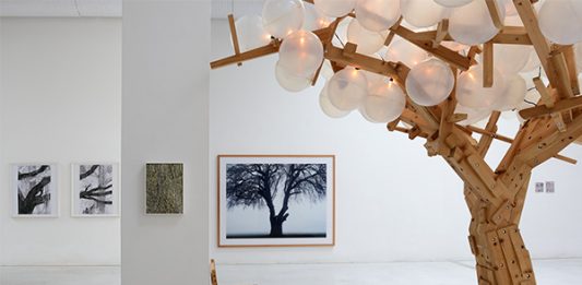 Today I would like to be a Tree Abed Al Kadiri alla galleria Studio la Città di Verona