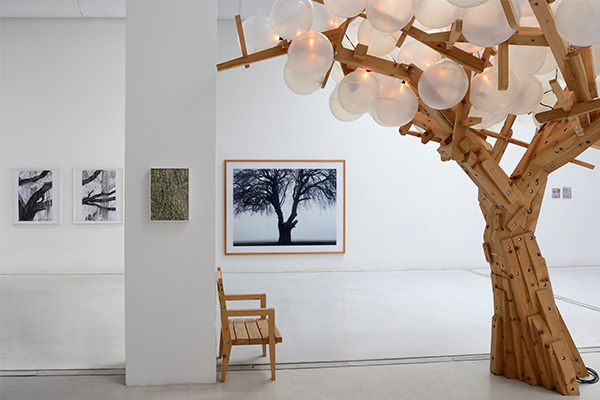 ExibartSegnala_Immagine