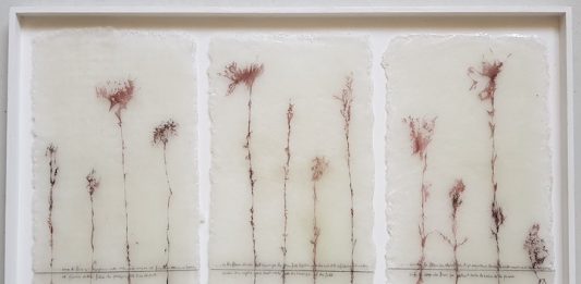 I “Fossili Contemporanei” di Gianni Depaoli