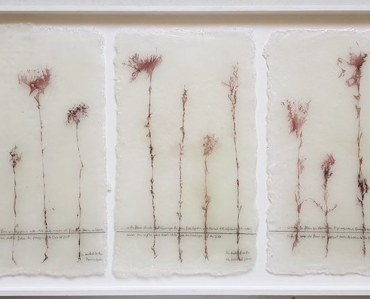 I “Fossili Contemporanei” di Gianni Depaoli