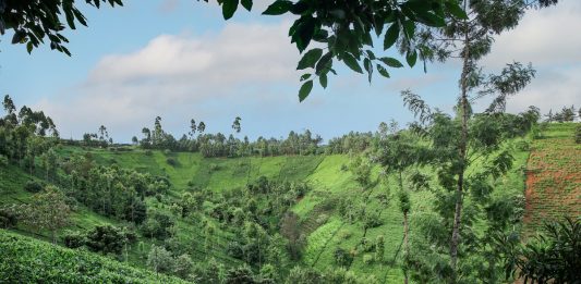 Giornata della Terra 2021: le iniziative nel mondo dell’arte (e non solo)
