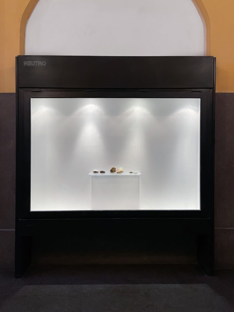 Caterina Morigi Neutro