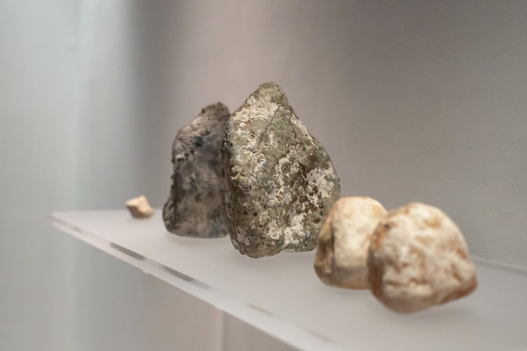 Caterina Morigi Neutro