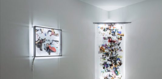 Imagomorphosis, Pietro Catarinella – Prometeo Gallery