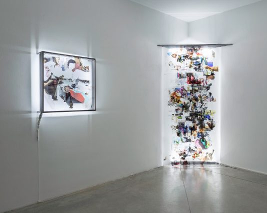 Imagomorphosis, Pietro Catarinella – Prometeo Gallery