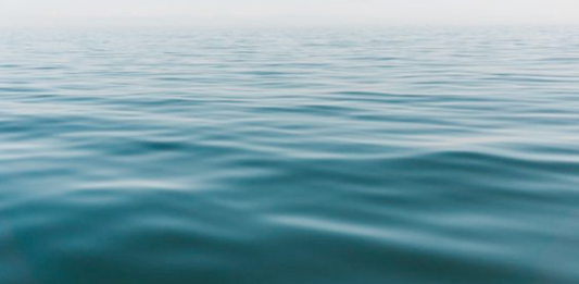 ‘Reflections’: la mostra di Venice Galleries View sulla piattaforma Vortic