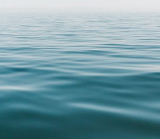 ‘Reflections’: la mostra di Venice Galleries View sulla piattaforma Vortic