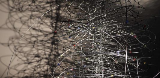 L’arte è probiotica: i progetti di NABA per Yakult Italia