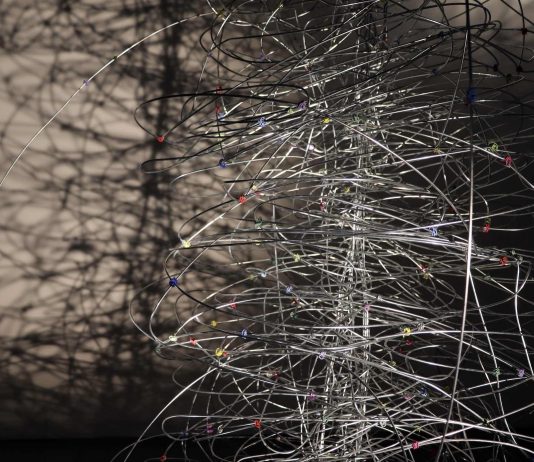 L’arte è probiotica: i progetti di NABA per Yakult Italia