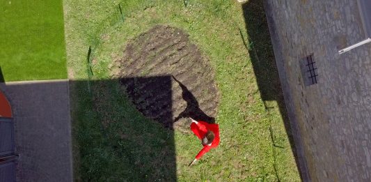 Il giardino evolutivo di Egle Oddo mette radici all’Orto Botanico di Roma