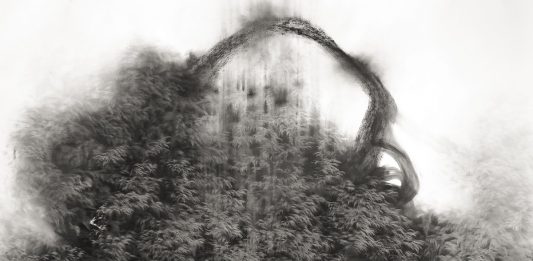 Arte contemporanea sotto le mura di Castelnuovo: CRAC apre le vetrine crac castelnuovo