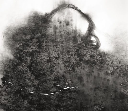 Arte contemporanea sotto le mura di Castelnuovo: CRAC apre le vetrine crac castelnuovo