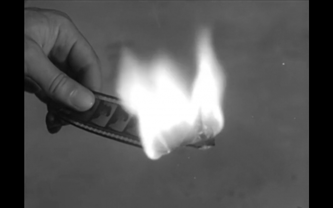 maga benigno marcora