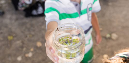Flumen: il progetto di Andreco sui fiumi di Roma, tra arte e scienza