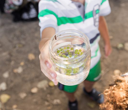 Flumen: il progetto di Andreco sui fiumi di Roma, tra arte e scienza