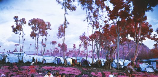 Richard Mosse, il testimone del presente occultato