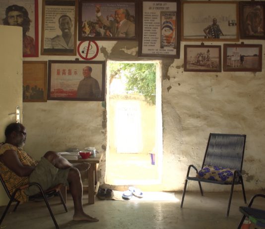 ‘Pratiche artistiche per una transizione ecologica dal basso’, al PAV di Torino