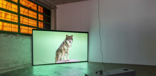 Immagini in movimento alla Manifattura Tabacchi: la mostra di VISIO