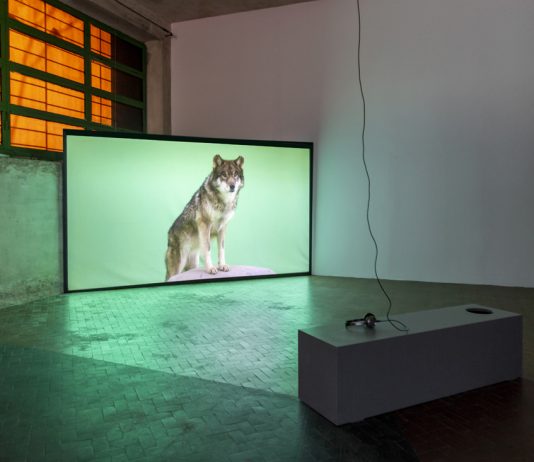 Immagini in movimento alla Manifattura Tabacchi: la mostra di VISIO