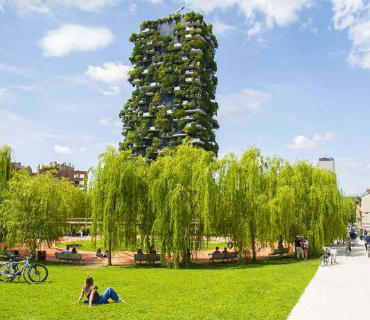 Architettura sostenibile: la Biblioteca degli Alberi apre un bando per under 40