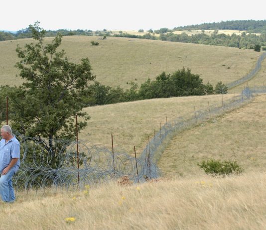 Filippo Berta, One by One – Nomas Foundation