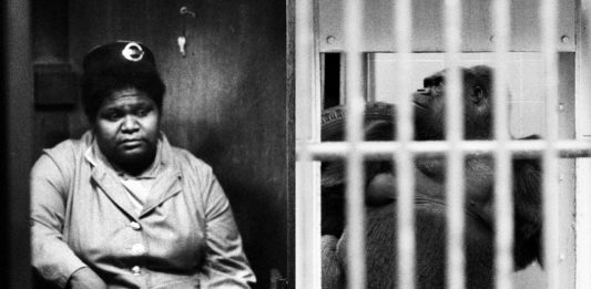 Cancellare le immagini: Martin Parr torna sul tema, in un dibattito online