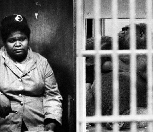 Cancellare le immagini: Martin Parr torna sul tema, in un dibattito online