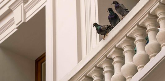 Una visita alla Bourse de Commerce di Pinault, a Parigi