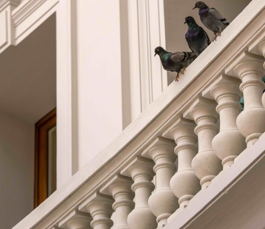 Una visita alla Bourse de Commerce di Pinault, a Parigi