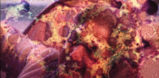 Ripensare il controllo: Giulio Bensasson, al Pastificio Cerere