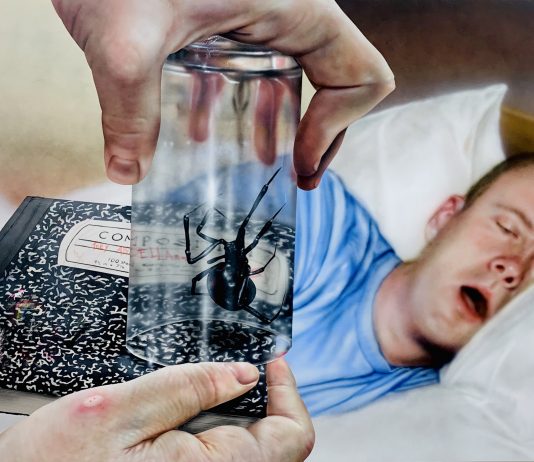 Trey Abdella, In The Neighborhood – t293