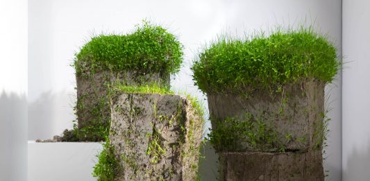 Paesaggi, natura, materie e interior design alla Galleria Sinopia di Roma