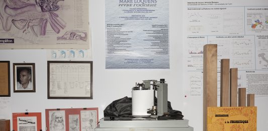 La memoria delle immagini: Spazio Testori riparte da una doppia personale