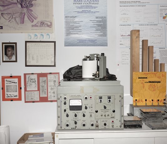 La memoria delle immagini: Spazio Testori riparte da una doppia personale