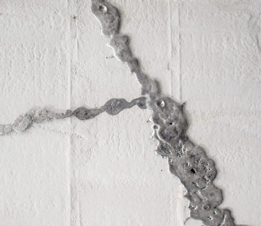 Tra le crepe: a Bologna, l’Appartamento riapre con un’opera site specific marameo l'appartamento