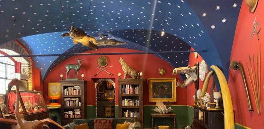 Diorama Gallery, la nuova wunderkammer barocca di Roma