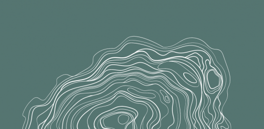 A Torino si celebra la primavera all’insegna dell’arte contemporanea gallerie primavera torino