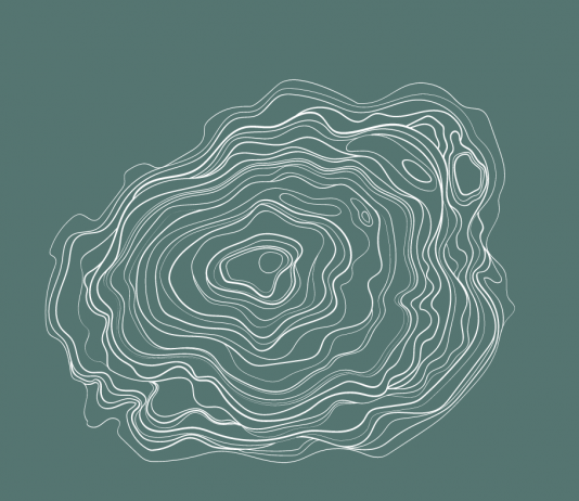 A Torino si celebra la primavera all’insegna dell’arte contemporanea gallerie primavera torino