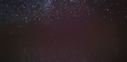 Per farci condurre dai bambini: Sparks 2021 di Francesca Grilli