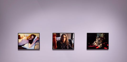 La nuova serie di Nan Goldin che mostra al mondo la sua vita in pandemia marian goodman gallery nan goldin