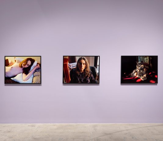 La nuova serie di Nan Goldin che mostra al mondo la sua vita in pandemia marian goodman gallery nan goldin