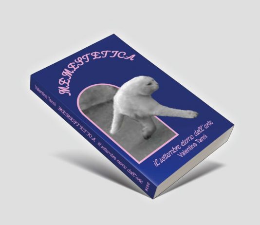 All’incrocio tra arti visive e internet culture: la Memestetica di Valentina Tanni memestetica valentina tanni