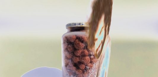 La verità oltre l’attualità: una doppia personale al RUFA Space Miceli Martina rufa space