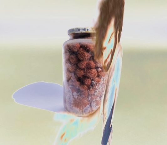 La verità oltre l’attualità: una doppia personale al RUFA Space Miceli Martina rufa space