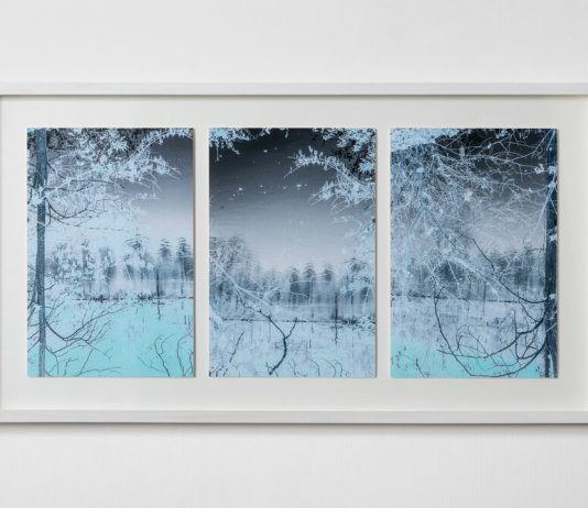 Monica Carocci, Nuvole alte – Galleria Francesca Antonini