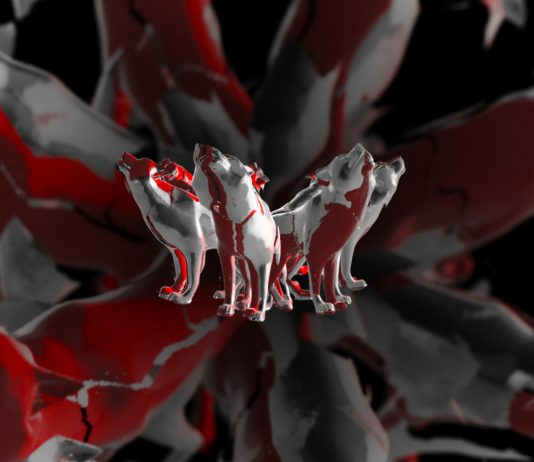 AF Collezione: la nuova scommessa di Asian Fake sugli NFT