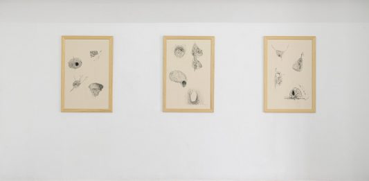 Dimore; Ferratto, Harris, Perilli – The Gallery Apart