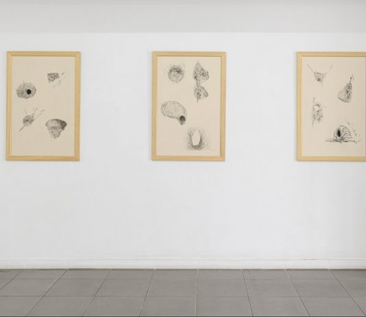 Dimore; Ferratto, Harris, Perilli – The Gallery Apart